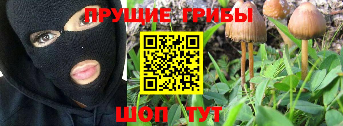Волоколамск  Псилоцибиновые грибы ЛСД  Вход с VPN 